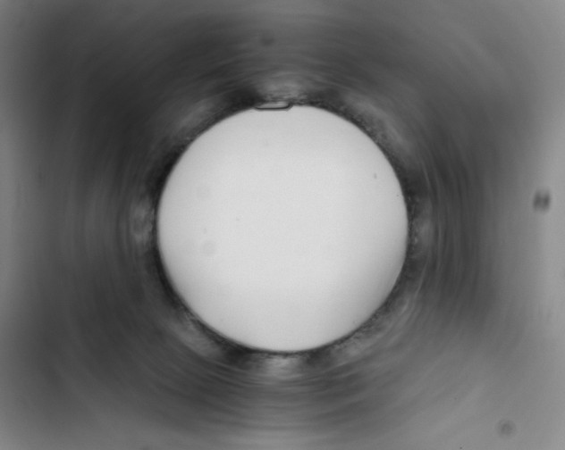 X0000102820081200809151025