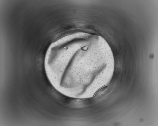 X0000102820082200809151025