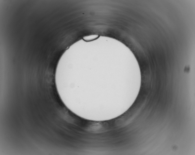 X0000102820083200809151025