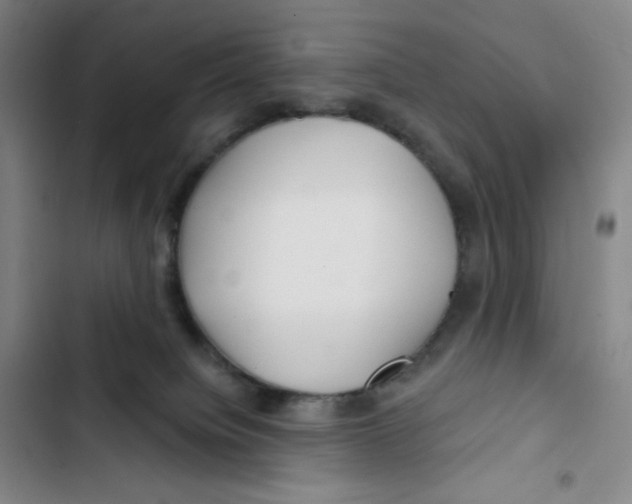 X0000102820084200809151025