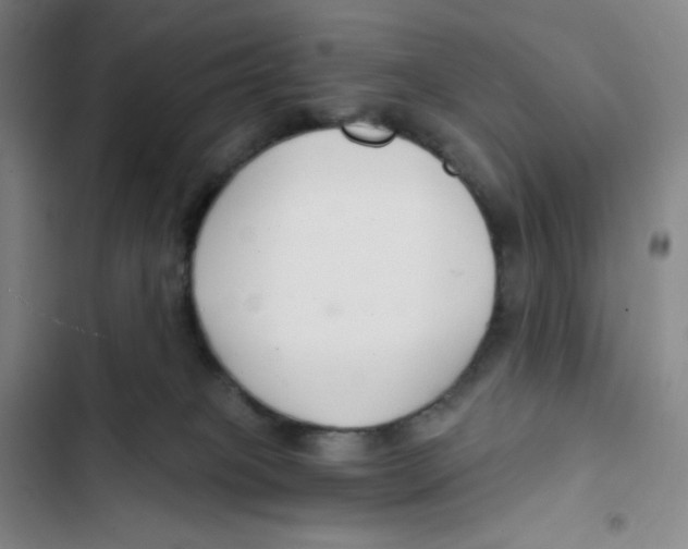 X0000102820085200809151025