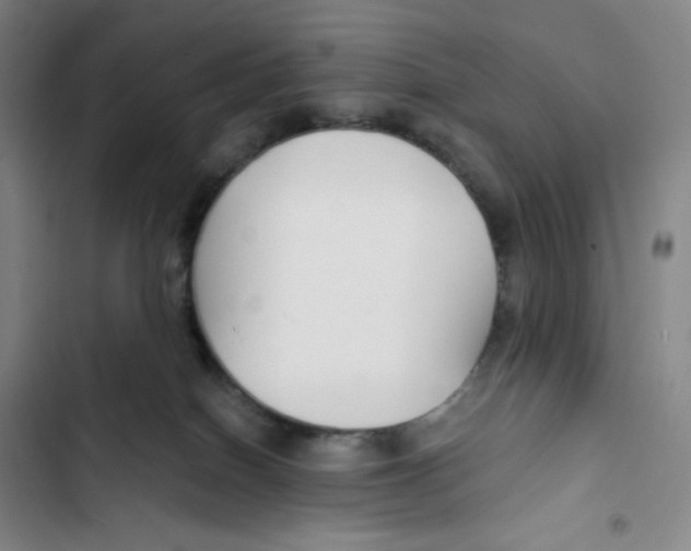 X0000102820086200809151026