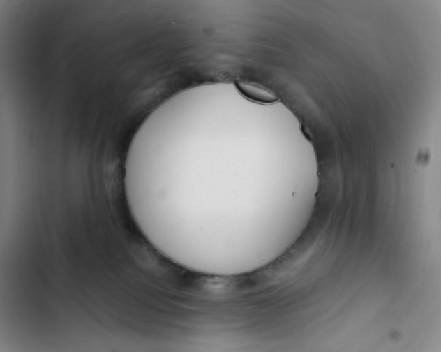 X0000102820088200809151026