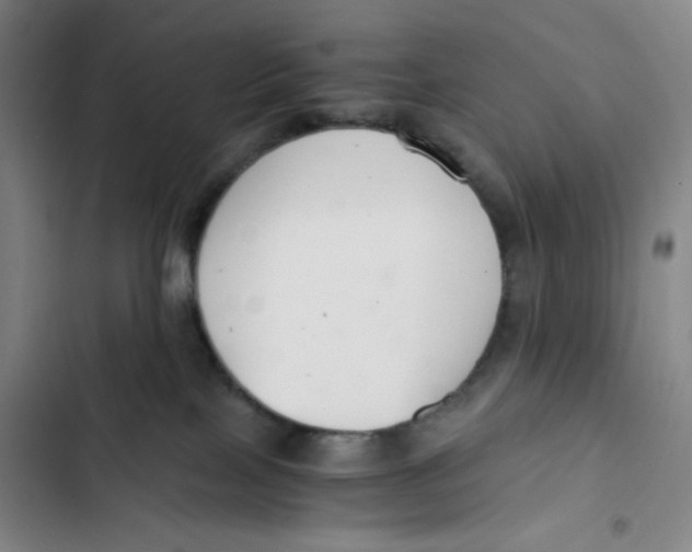 X0000102820089200809151026