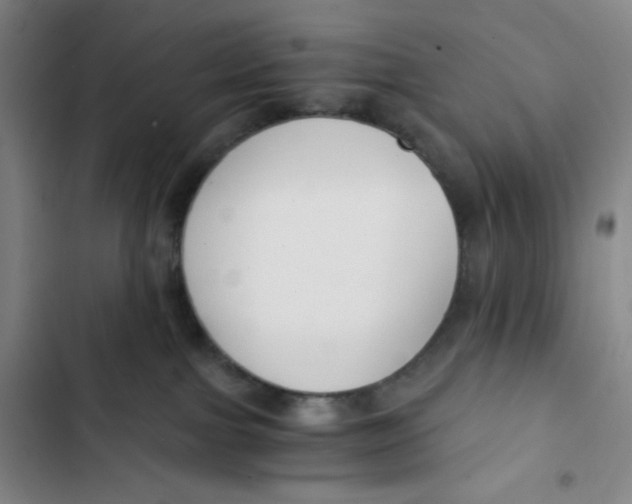X0000102820091200809151026