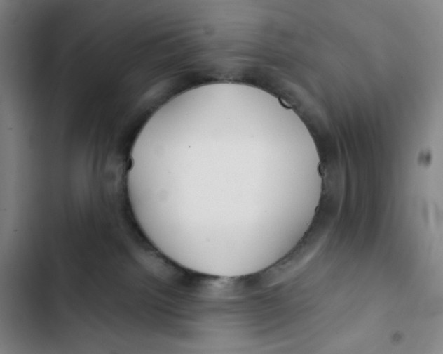 X0000102820092200809151026