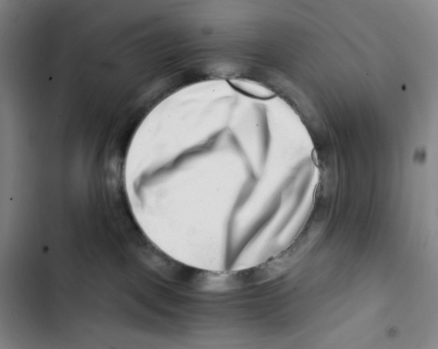 X0000102820093200809151026