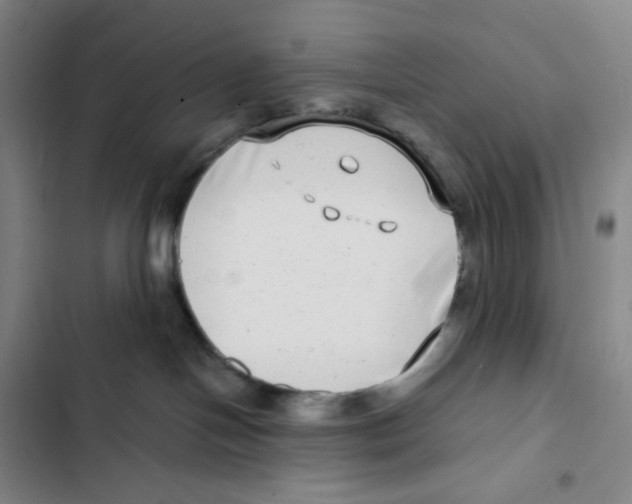 X0000102820094200809151026