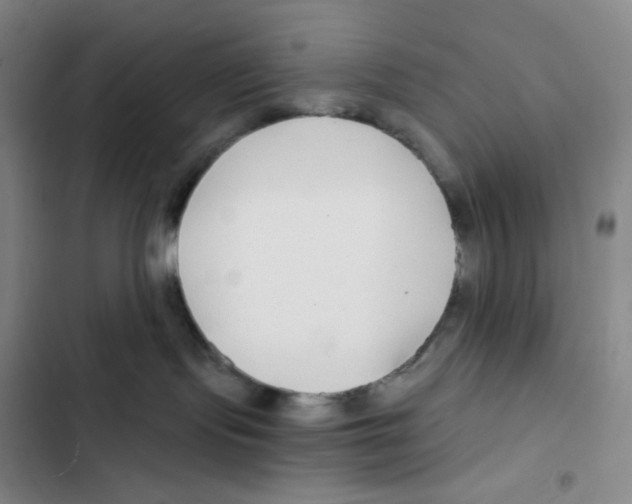 X0000102820095200809151026