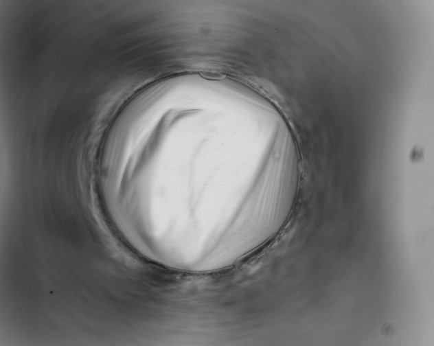 X0000102820097200809151025