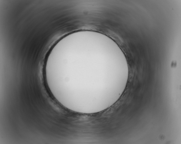 X0000102820098200809151025