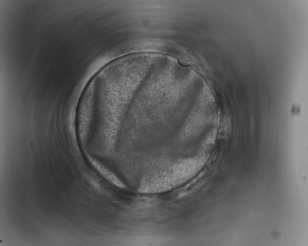X0000102820099200809151025