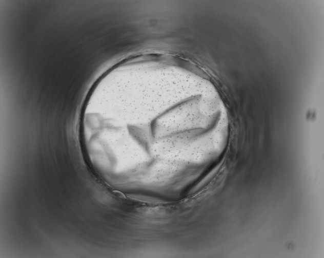 X0000102820100200809151025