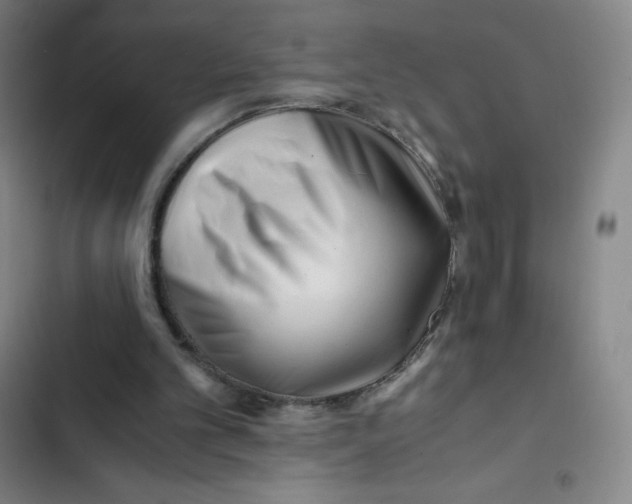 X0000102820101200809151025