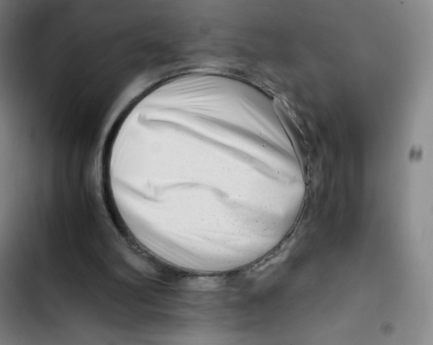 X0000102820102200809151025