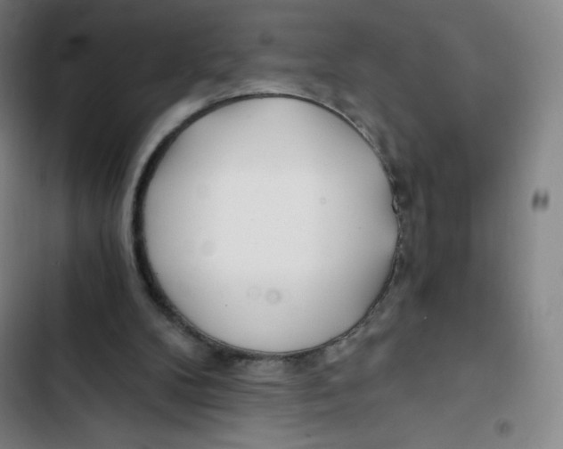 X0000102820104200809151025