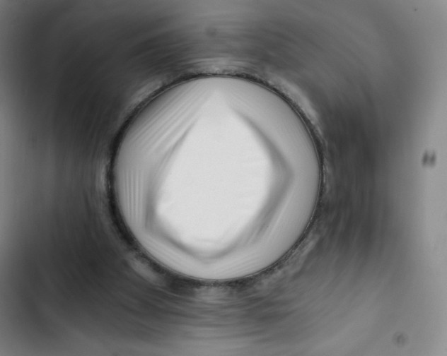 X0000102820105200809151025