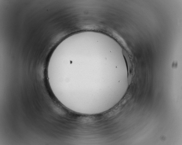 X0000102820106200809151025