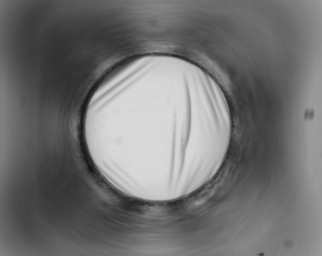 X0000102820107200809151025