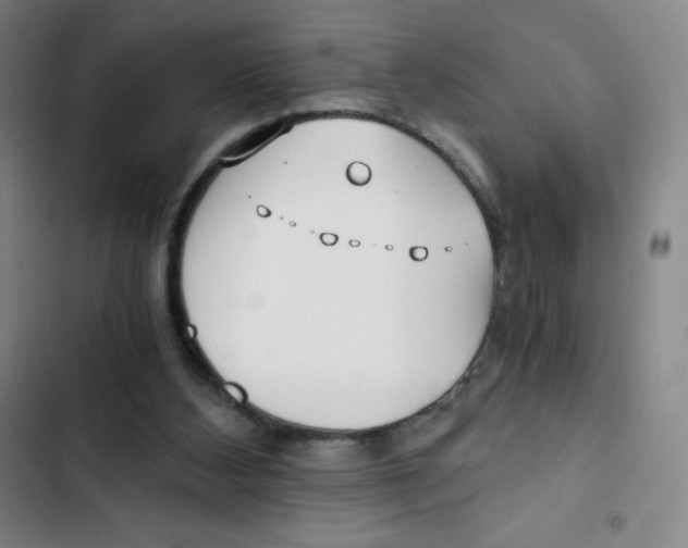 X0000102820108200809151025