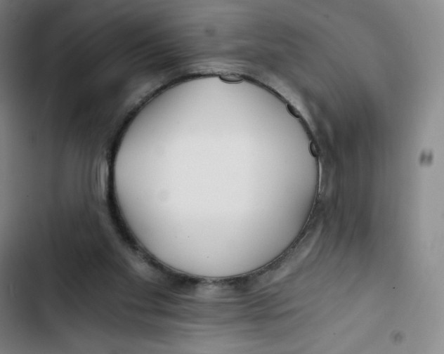 X0000102820109200809151025