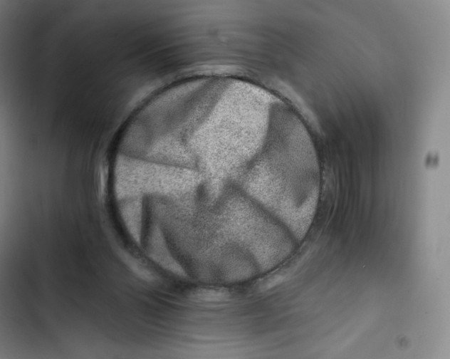 X0000102820110200809151025