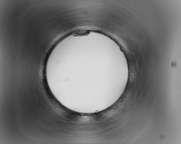 X0000102820111200809151025