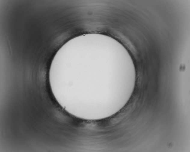 X0000102820113200809151025