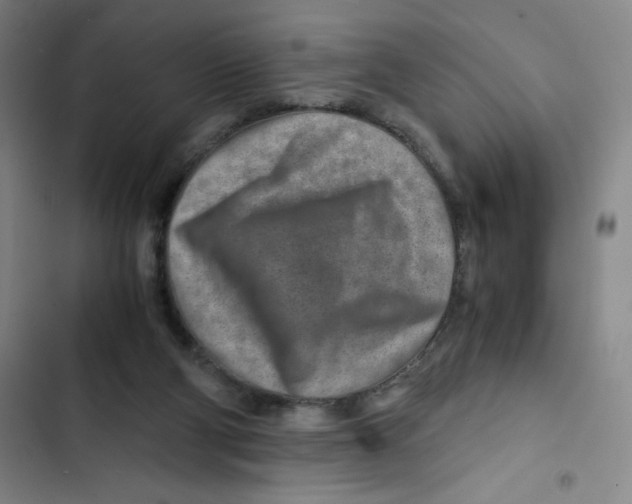 X0000102820114200809151025