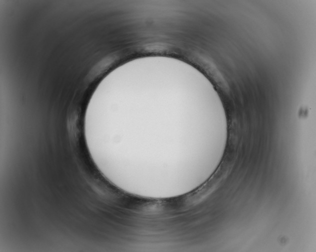 X0000102820116200809151025