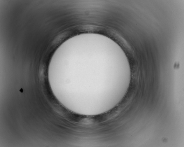 X0000102820119200809151025