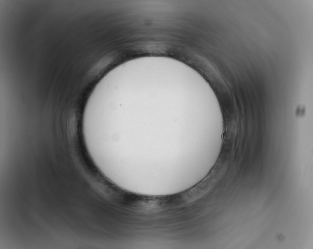 X0000102820120200809151025