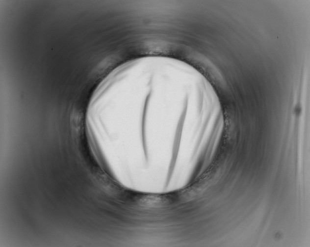 X0000102820123200809151025
