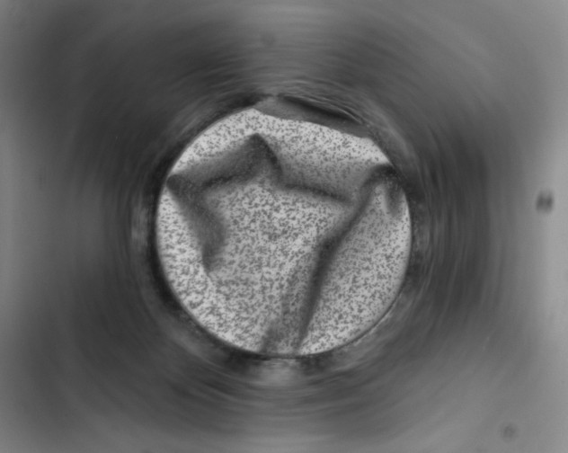 X0000102820124200809151025