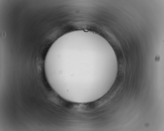 X0000102820125200809151025