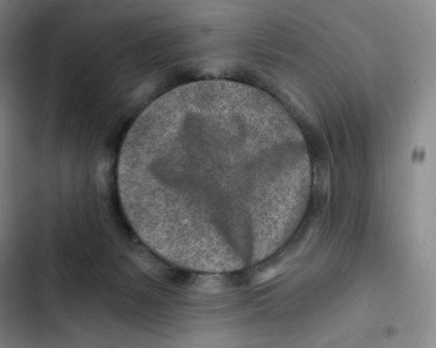 X0000102820127200809151025