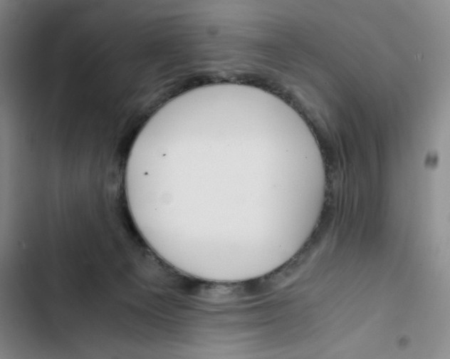 X0000102820129200809151025