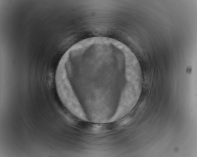 X0000102820130200809151025