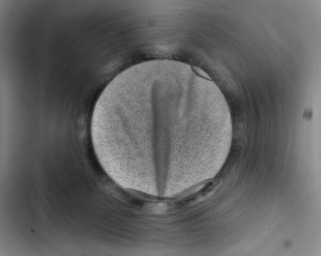X0000102820131200809151025