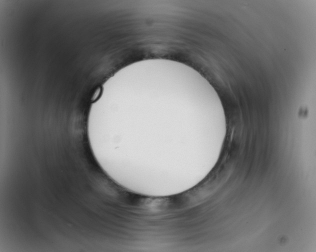 X0000102820135200809151024
