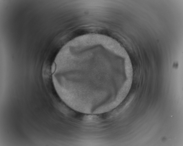X0000102820137200809151024