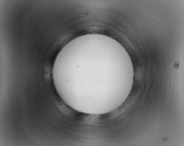 X0000102820138200809151024