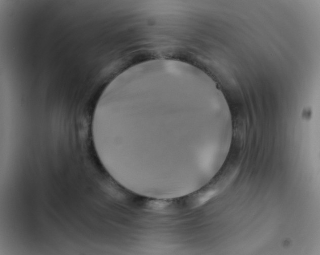 X0000102820139200809151024