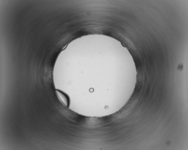 X0000102820141200809151024