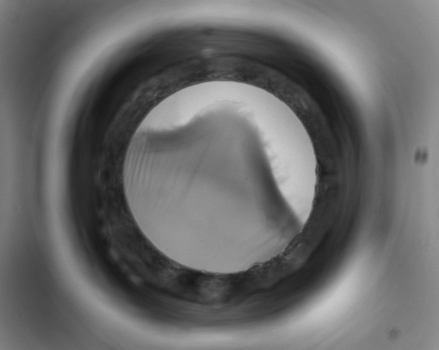X0000102820143200809151024