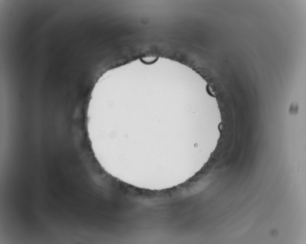 X0000102820144200809151024