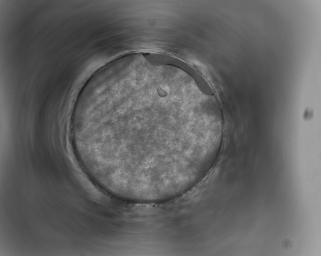 X0000102820145200809151023