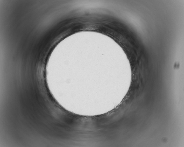 X0000102820146200809151023