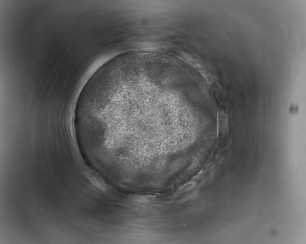 X0000102820147200809151023