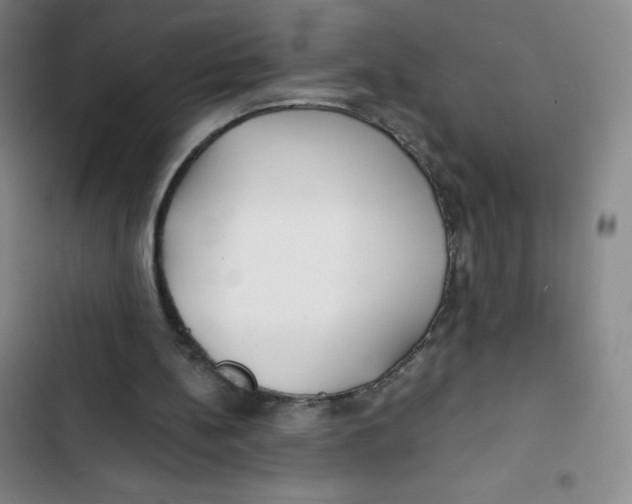 X0000102820148200809151023